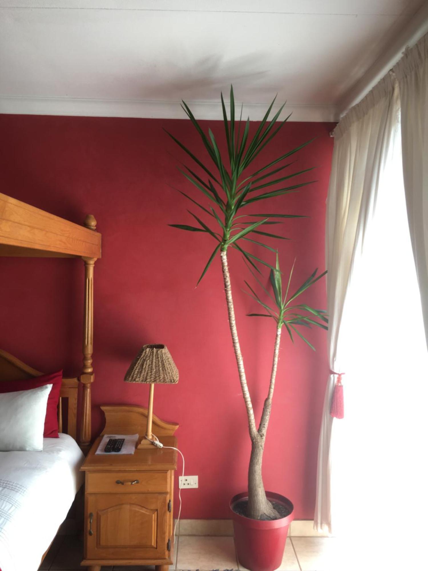 Birrea Guest House Polokwane Dış mekan fotoğraf