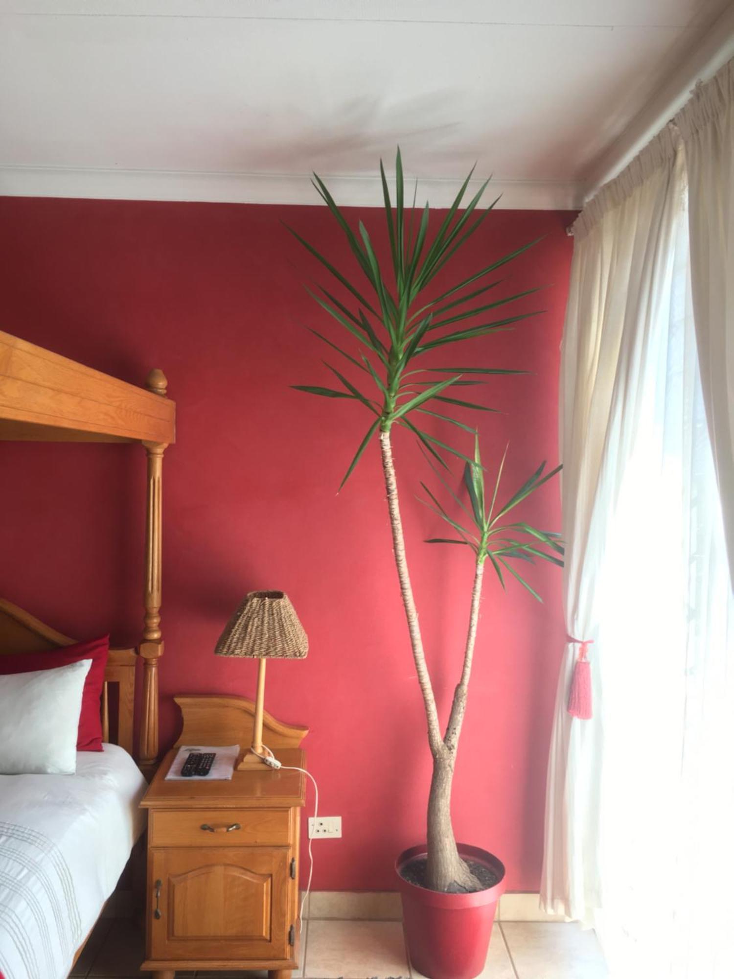 Birrea Guest House Polokwane Dış mekan fotoğraf